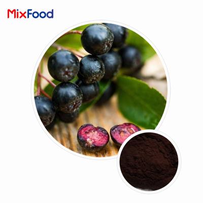 Aronia Berry Extract