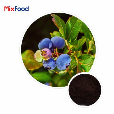 Bilberry Extract