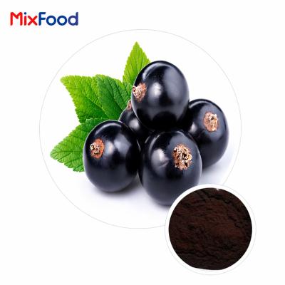 Blackcurrant Extract