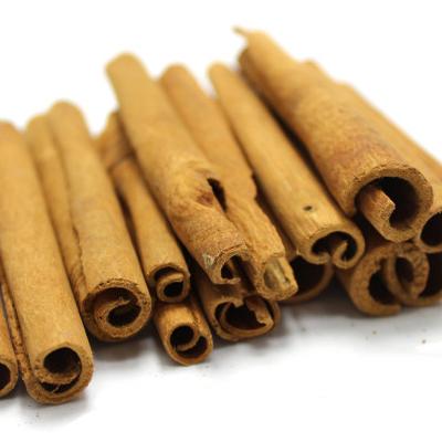 Cassia