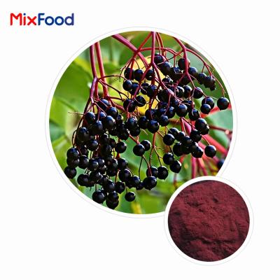 Elderberry Extract