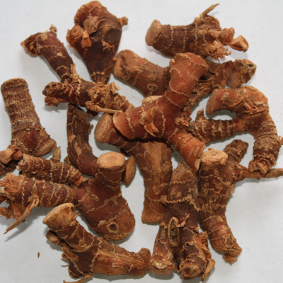 Galangal Whole