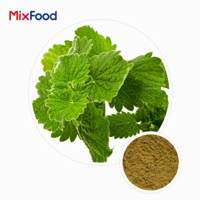 Lemon Balm Extract