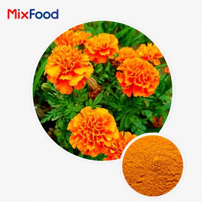 Marigold Extract
