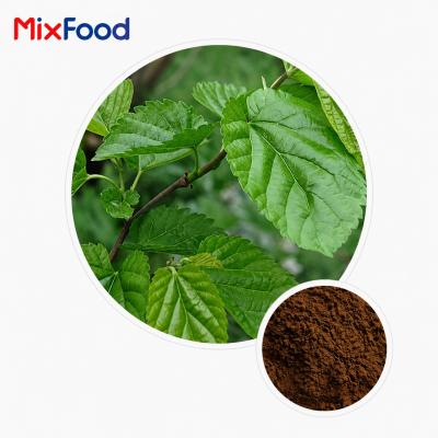 Mulberry Leaf Extract