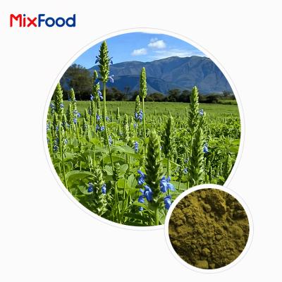 Salvia officinalis Extract